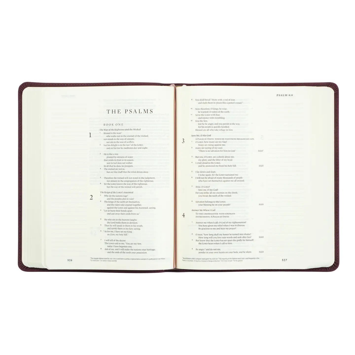 ESV Journaling Bible: Helena