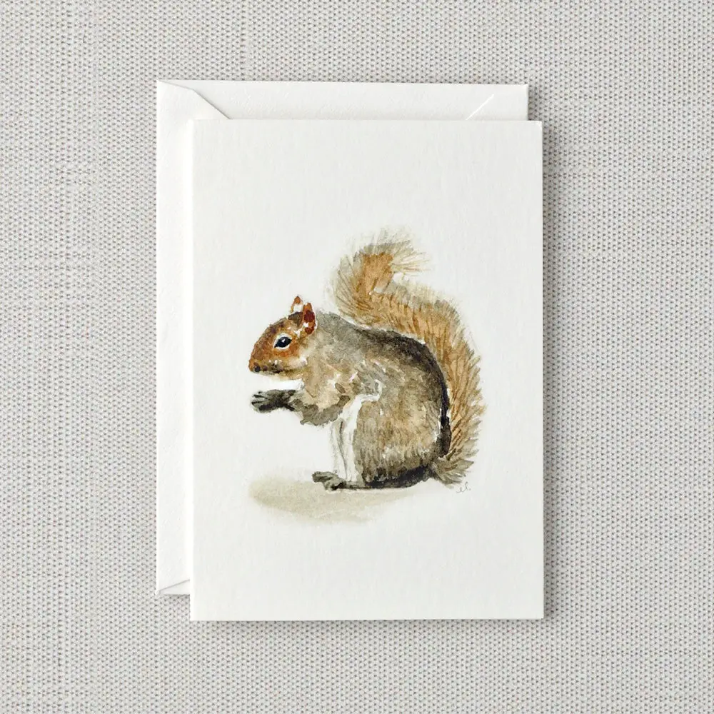Mini Notecard - Assorted Variety