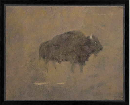 Sandstorm Buffalo