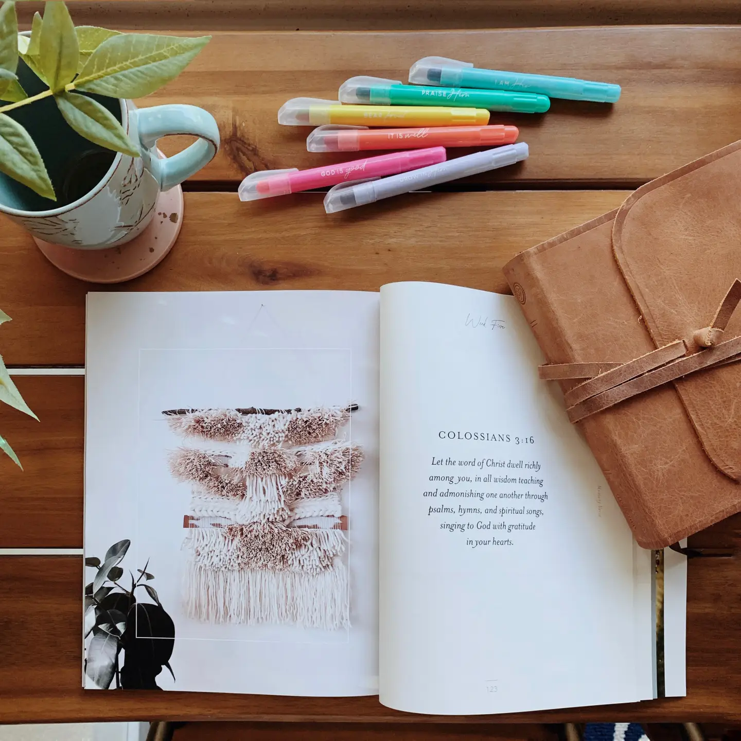 Colossians: Rooted in Him