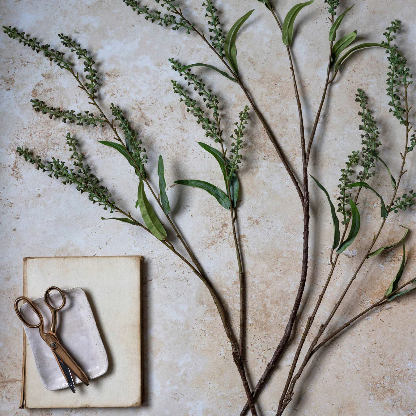 Myrtle Stem