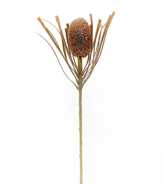 Desert Stem