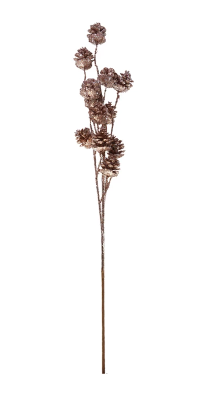 Pine Stems + Branches