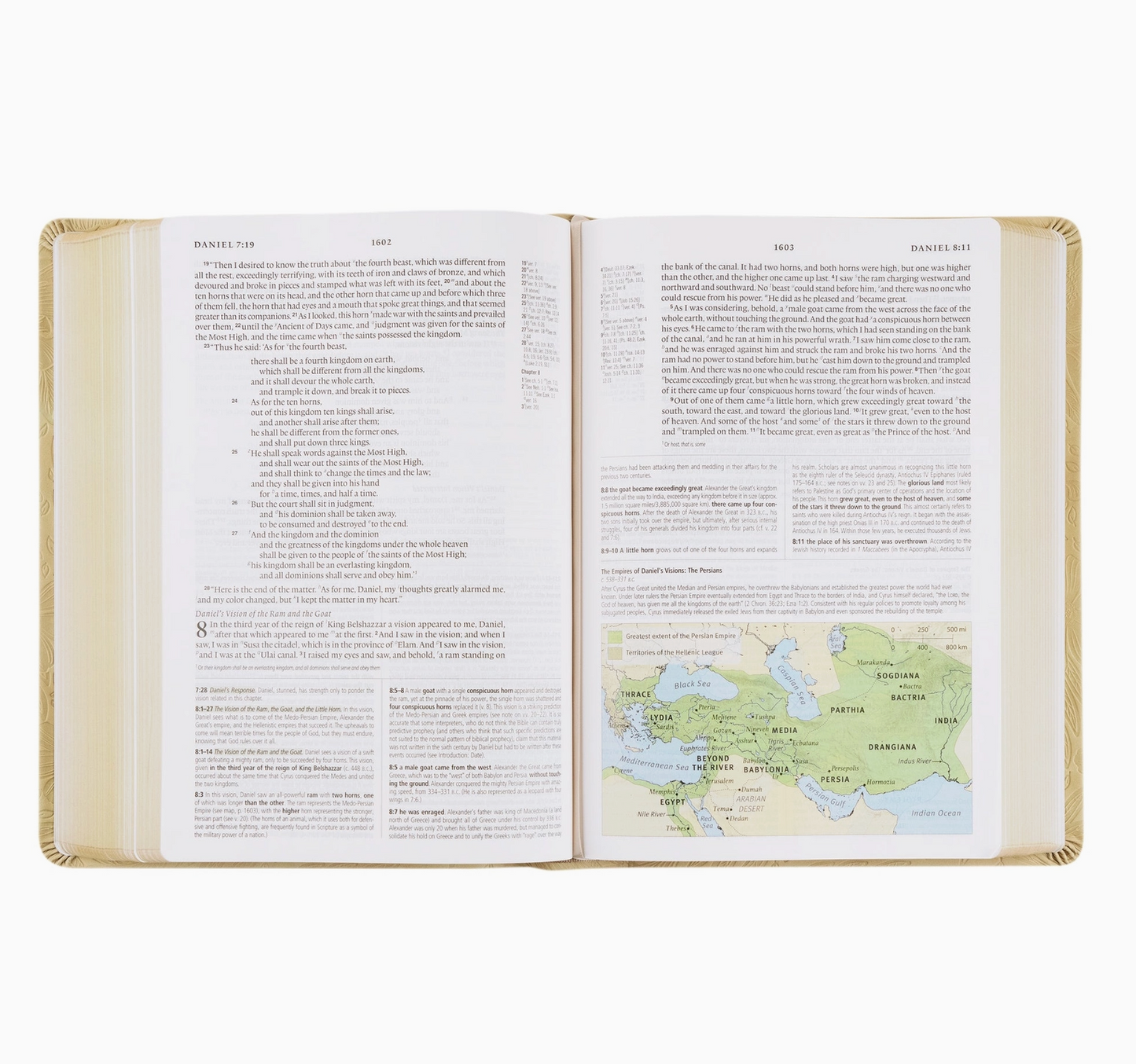 Bible - ESV - Sonora