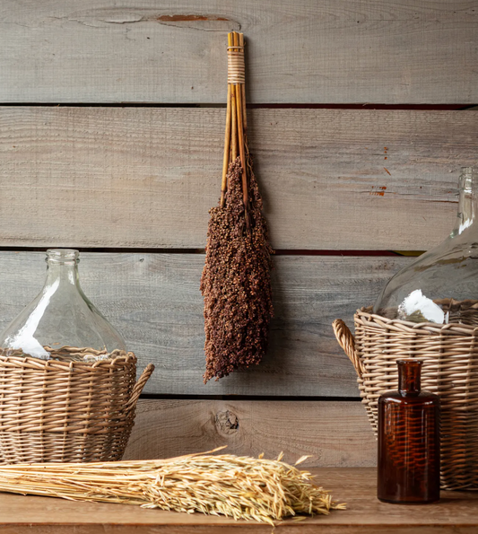Dried Broom Bunch