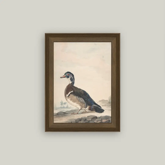 Duck Framed Art