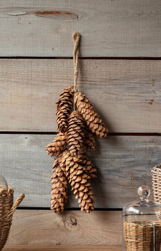 White Pine Pinecone Bunch