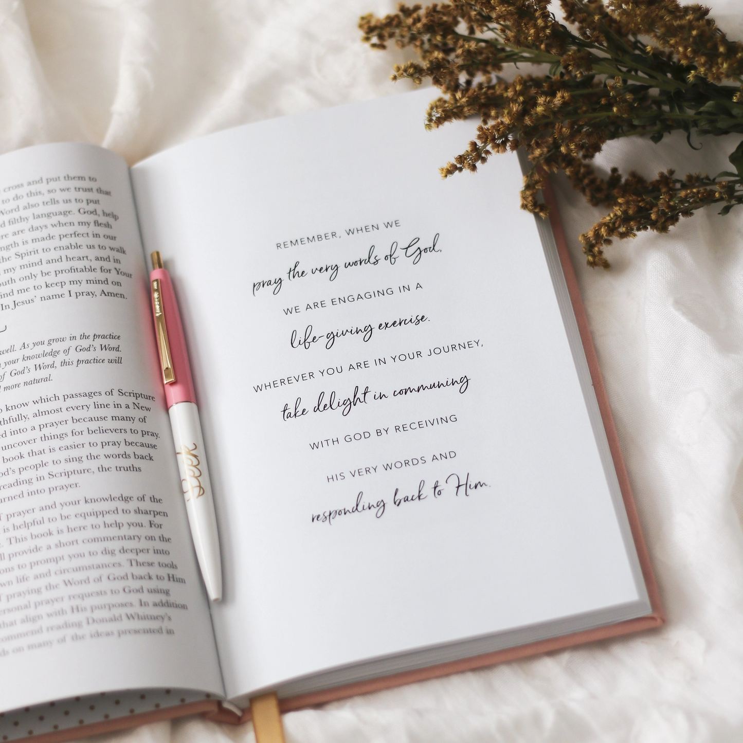 All Things New  Journal