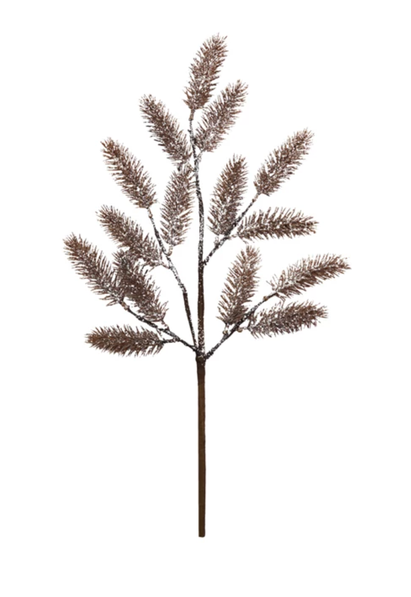 Pine Stems + Branches