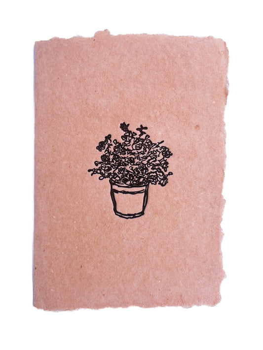 Potted rose