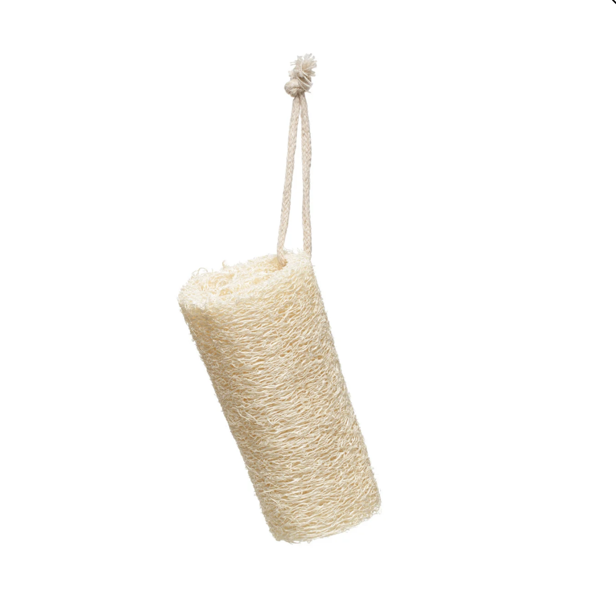 Loofah Brush