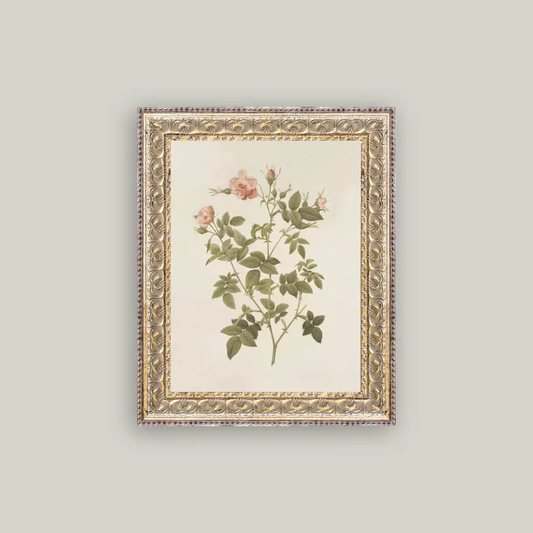Rosa Framed Art