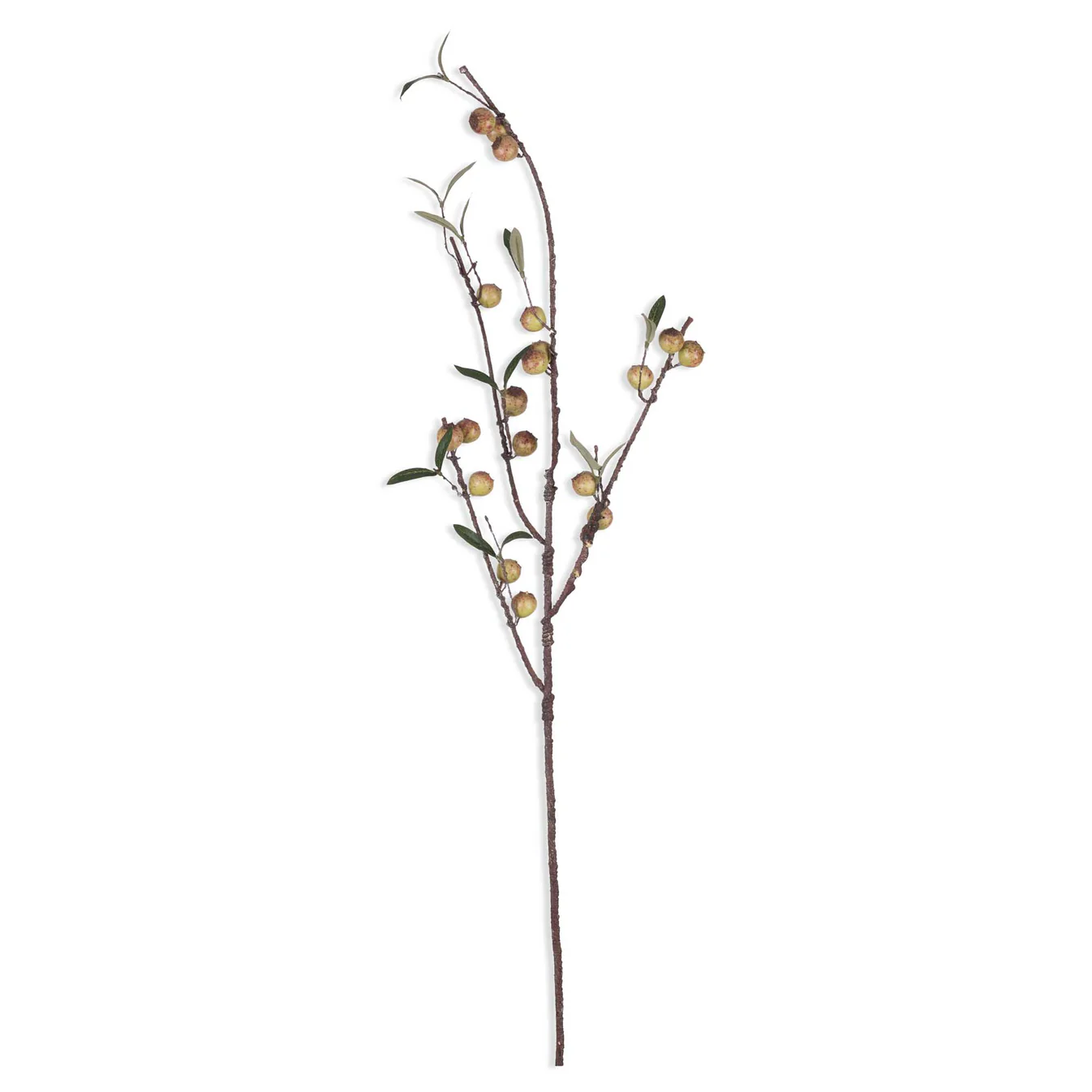 Rosehip Branch