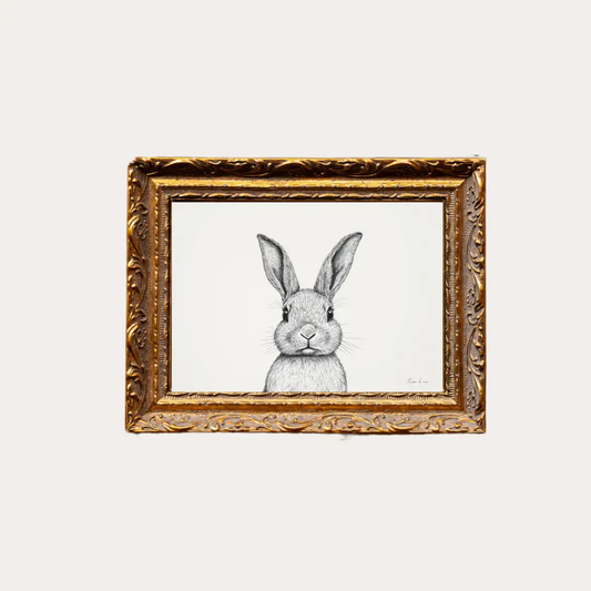 Rabbit Sketch Framed Art