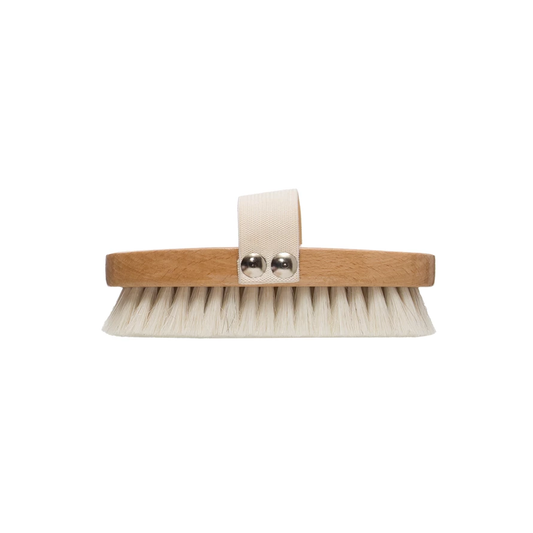 Beech Brush, Elastic Band