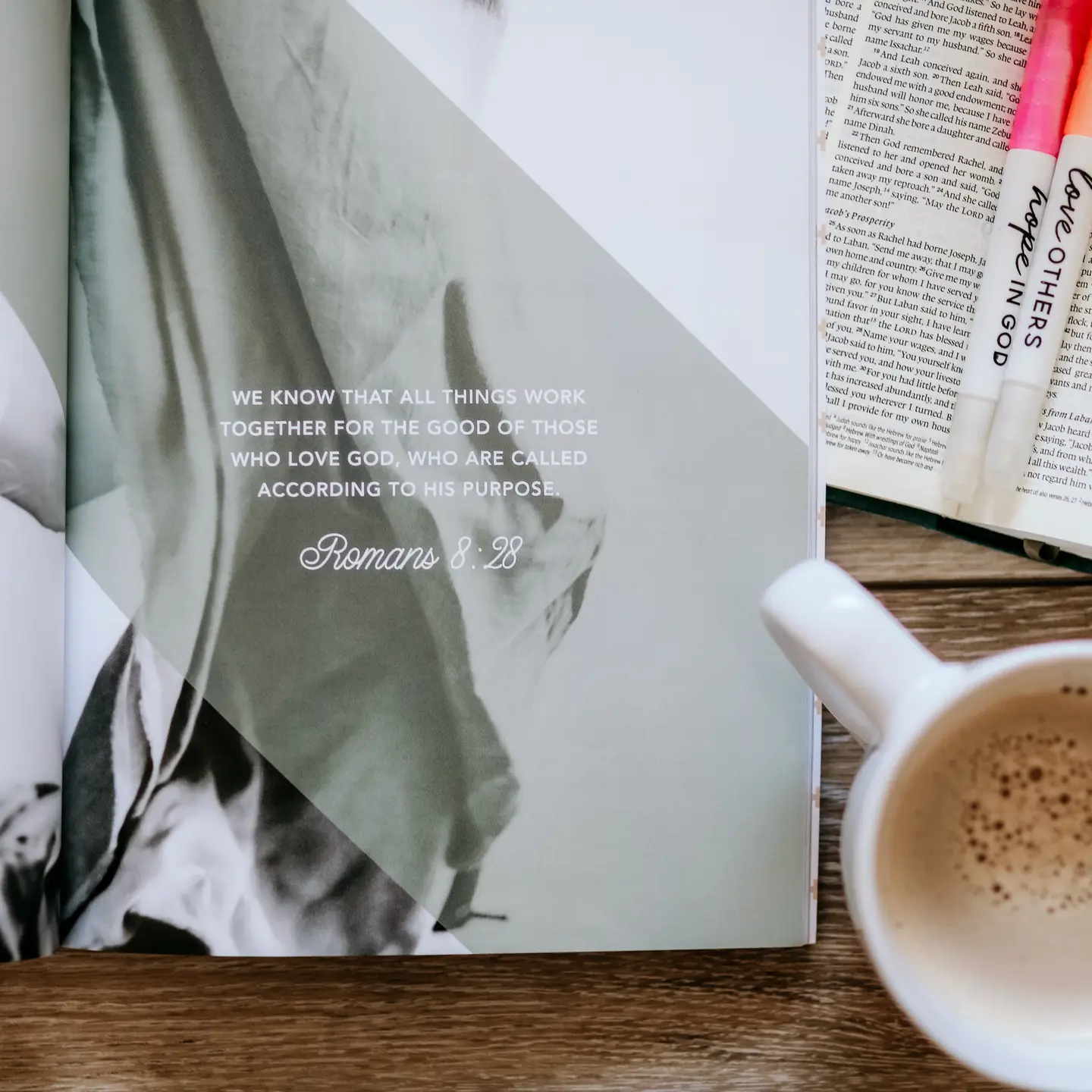 Colossians: Rooted in Him