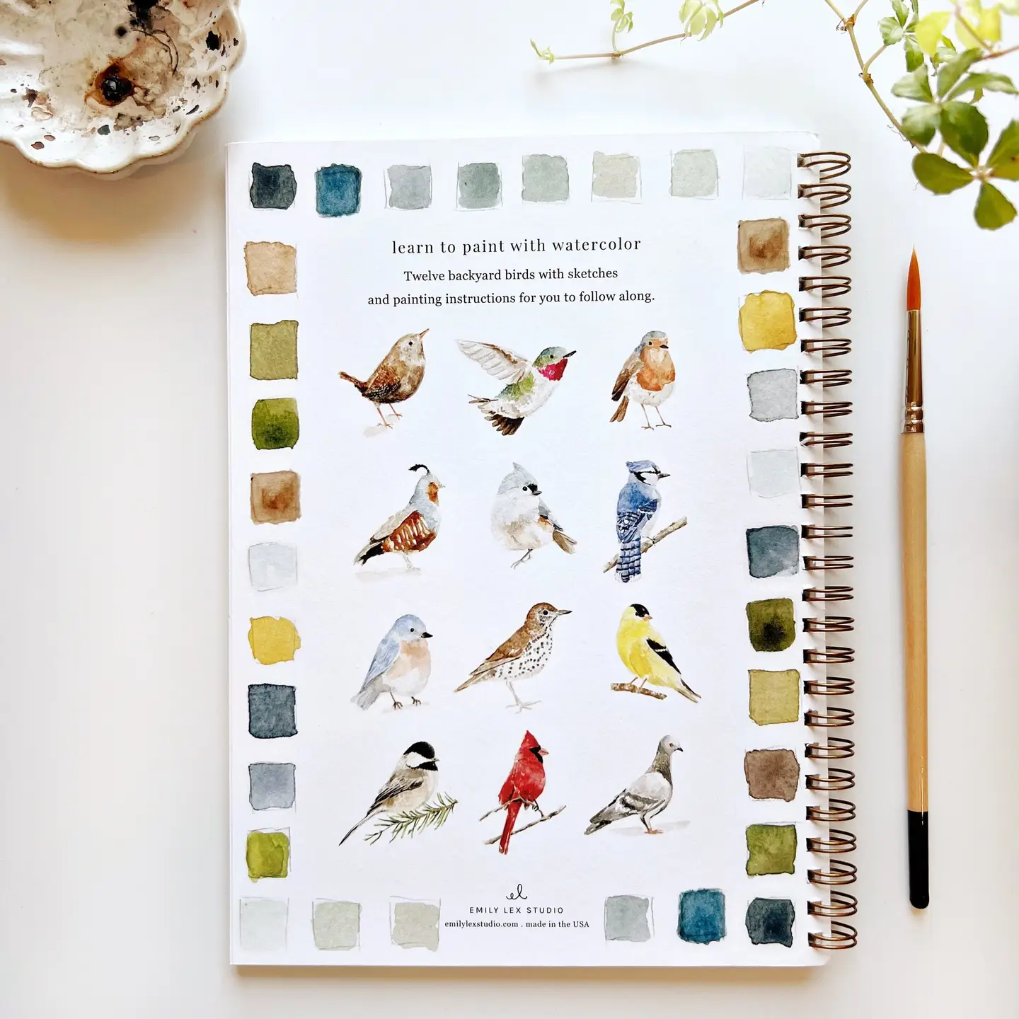 Bird Watercolor Workbook