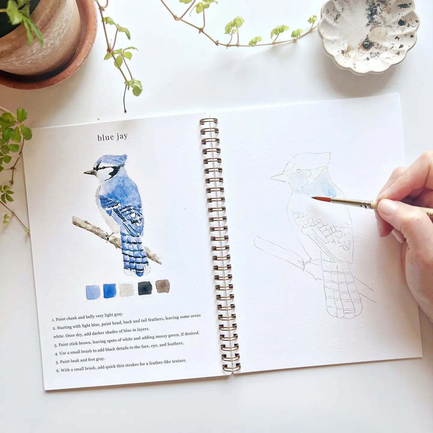 Bird Watercolor Workbook